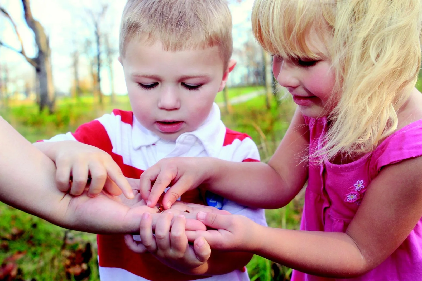 Unschooling / Natural Learning